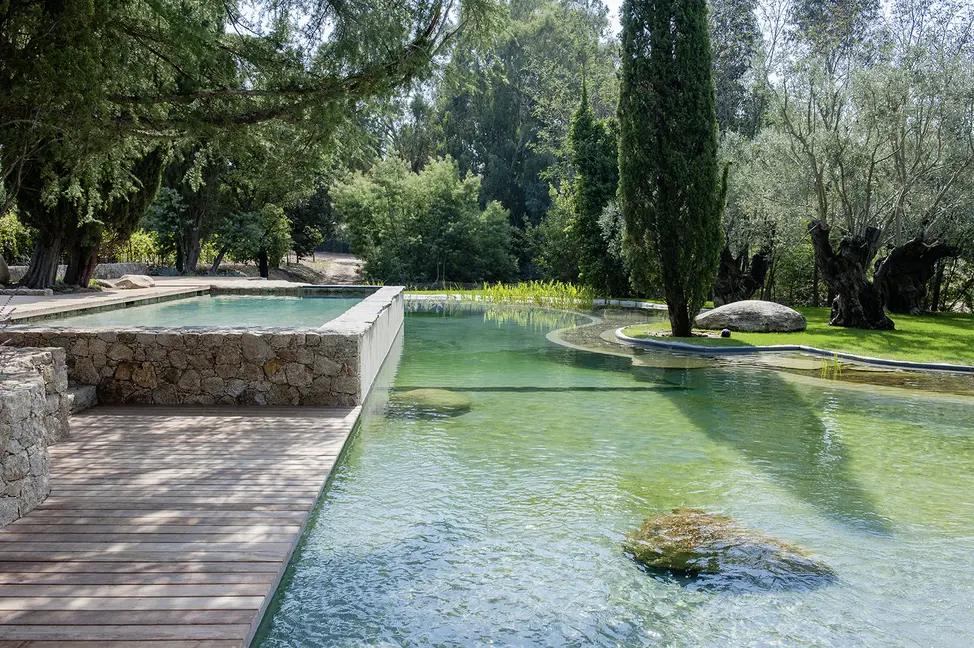 Bild: 9783954530649 | Wasser im Garten 2 | Das große Ideenbuch | Jörg Baumhauer | Buch