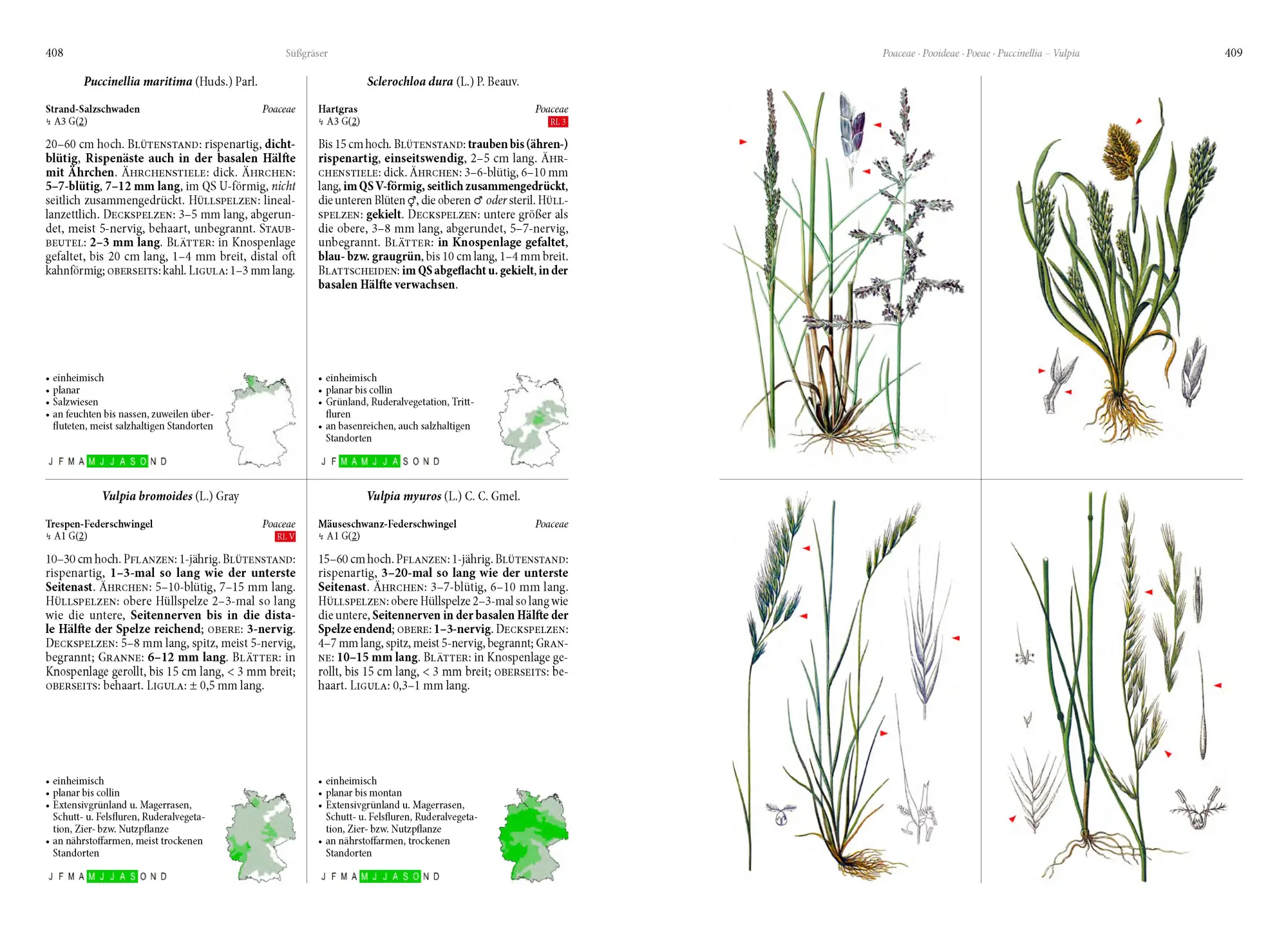 Bild: 9783968490649 | Die Flora von Deutschland. Alle heimischen Arten | Oliver Tackenberg