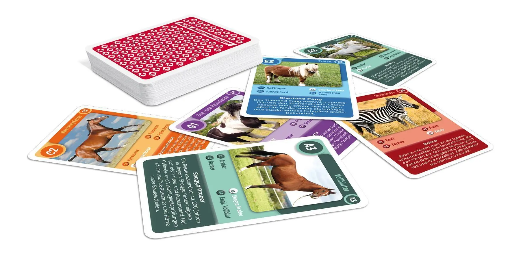 Bild: 4042677720849 | Tier-Quartett - Pferde | Spielkartenfabrik Altenburg GmbH | Spiel