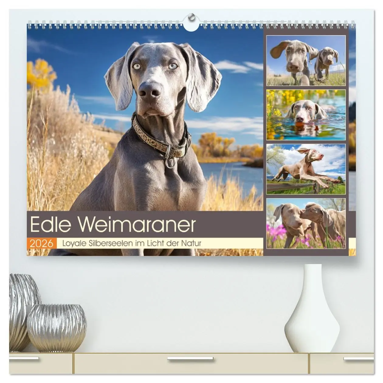Cover: 9783457910849 | Edle Weimaraner. Loyale Silberseelen im Licht der Natur...