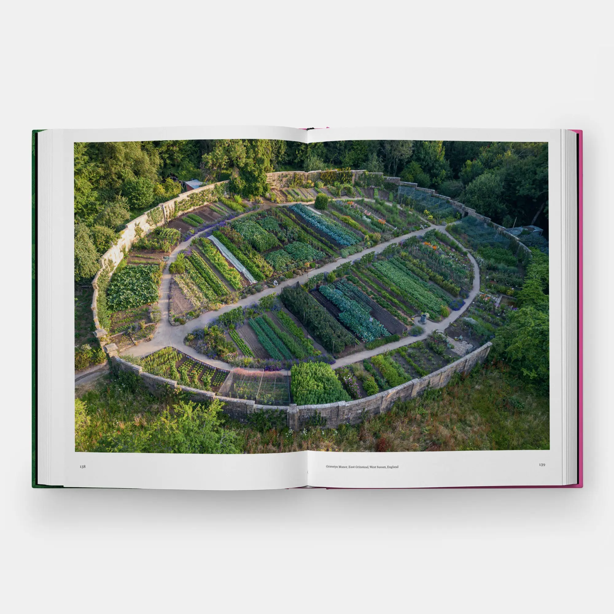Bild: 9781837290949 | The Kitchen Garden | with a foreword by Aaron Bertelsen Toby Musgrave