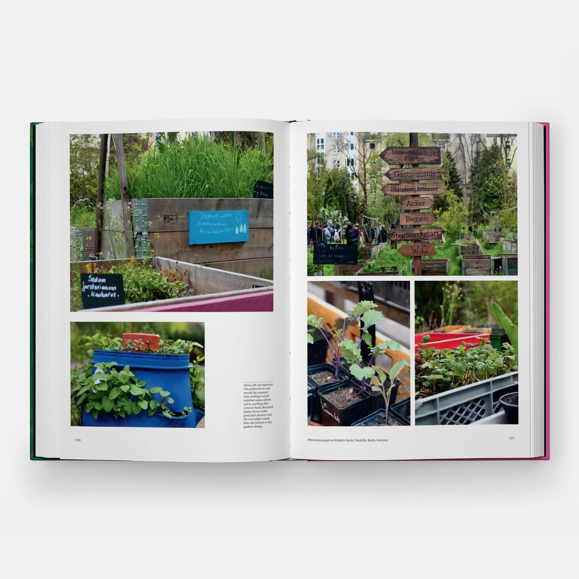 Bild: 9781837290949 | The Kitchen Garden | with a foreword by Aaron Bertelsen Toby Musgrave