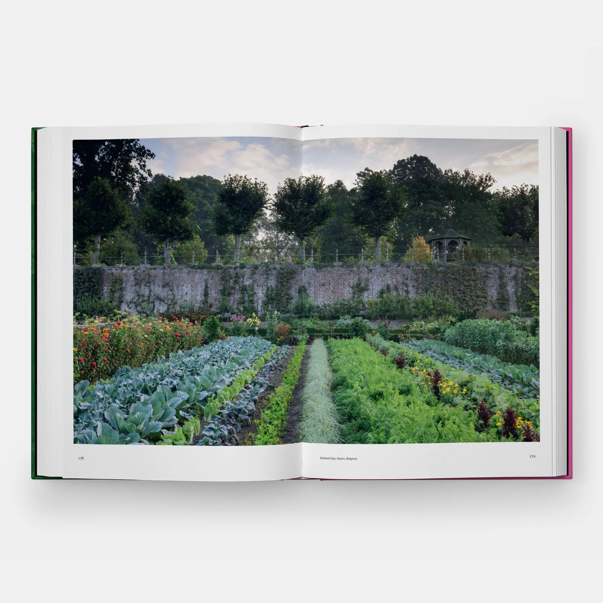 Bild: 9781837290949 | The Kitchen Garden | with a foreword by Aaron Bertelsen Toby Musgrave
