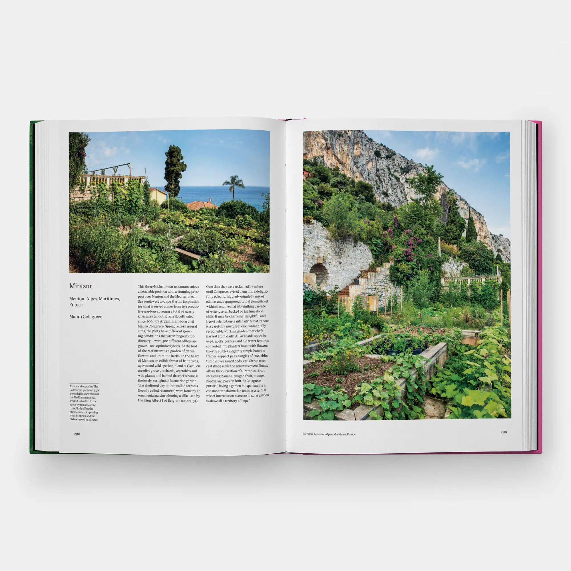Bild: 9781837290949 | The Kitchen Garden | with a foreword by Aaron Bertelsen Toby Musgrave