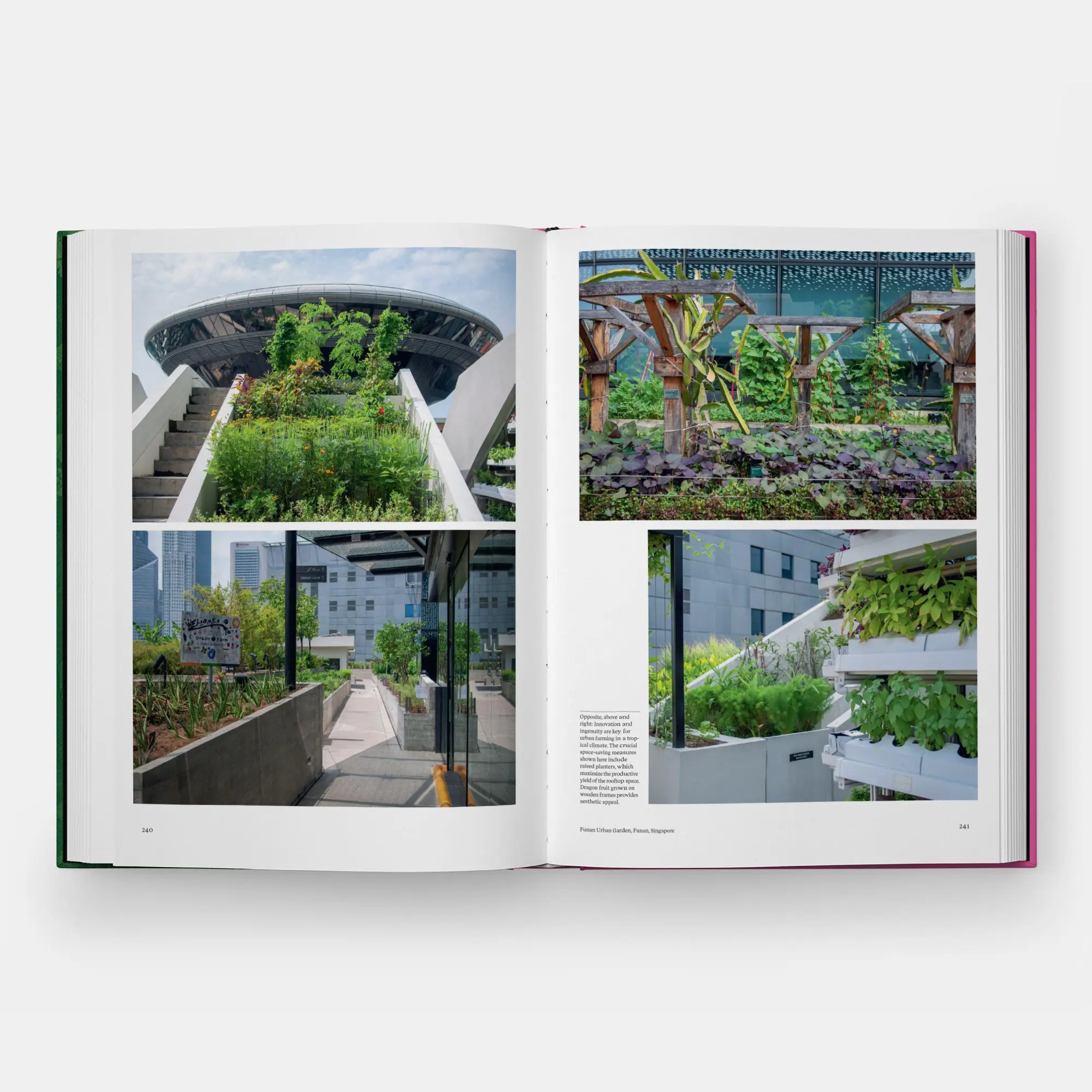 Bild: 9781837290949 | The Kitchen Garden | with a foreword by Aaron Bertelsen Toby Musgrave