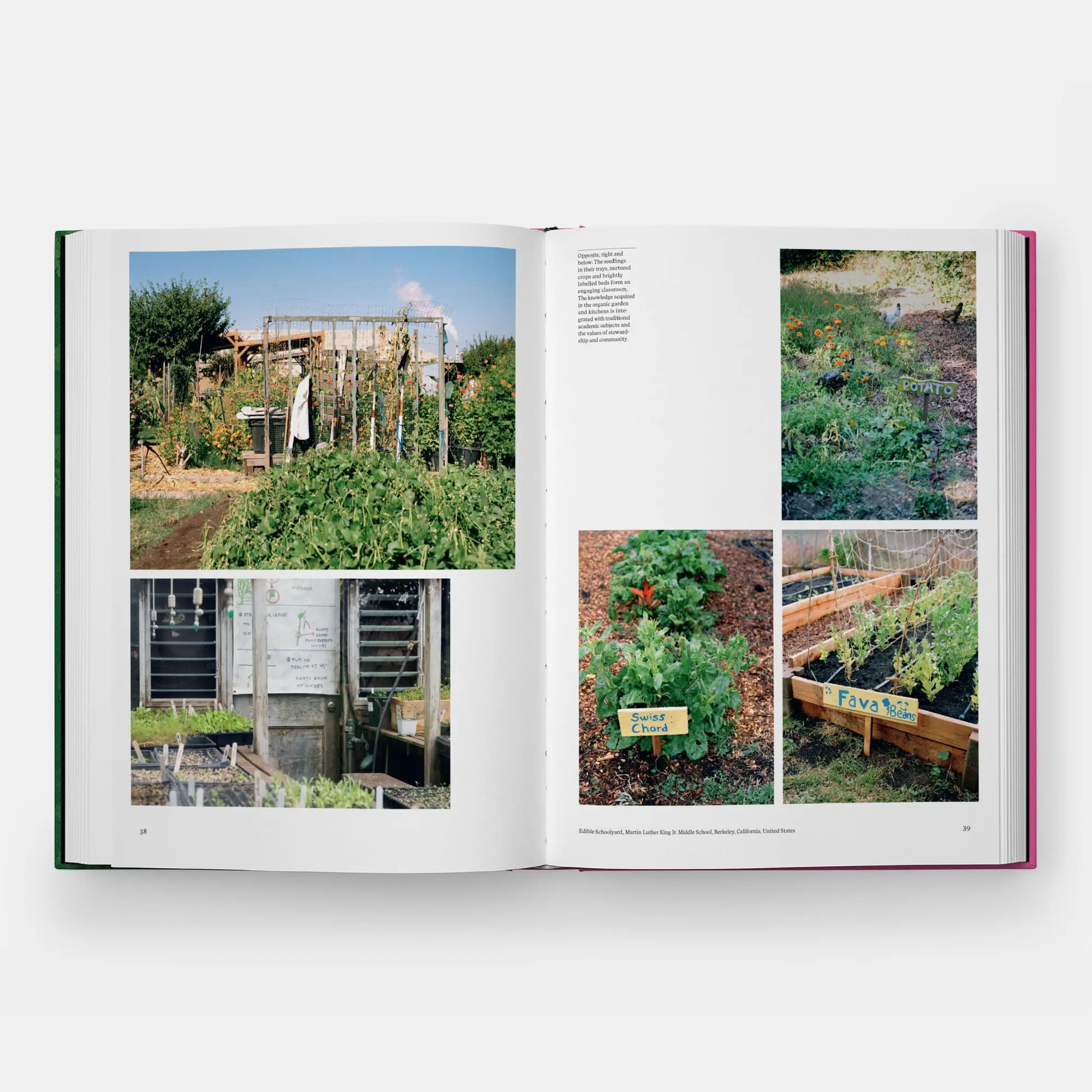 Bild: 9781837290949 | The Kitchen Garden | with a foreword by Aaron Bertelsen Toby Musgrave