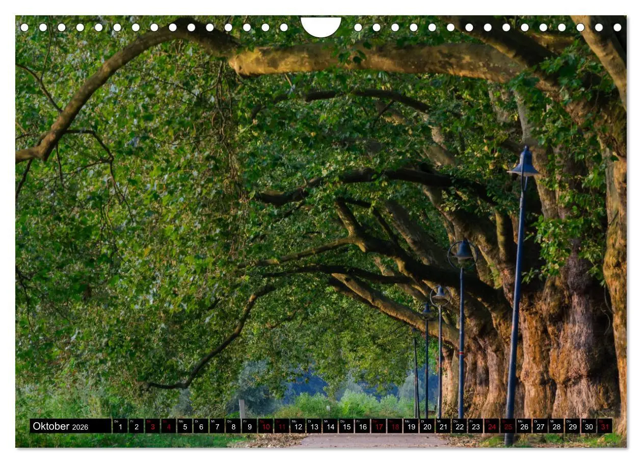Bild: 9783457900949 | Ludwigshafen - Lebenswerte Stadt am Rhein (Wandkalender 2026 DIN A4...