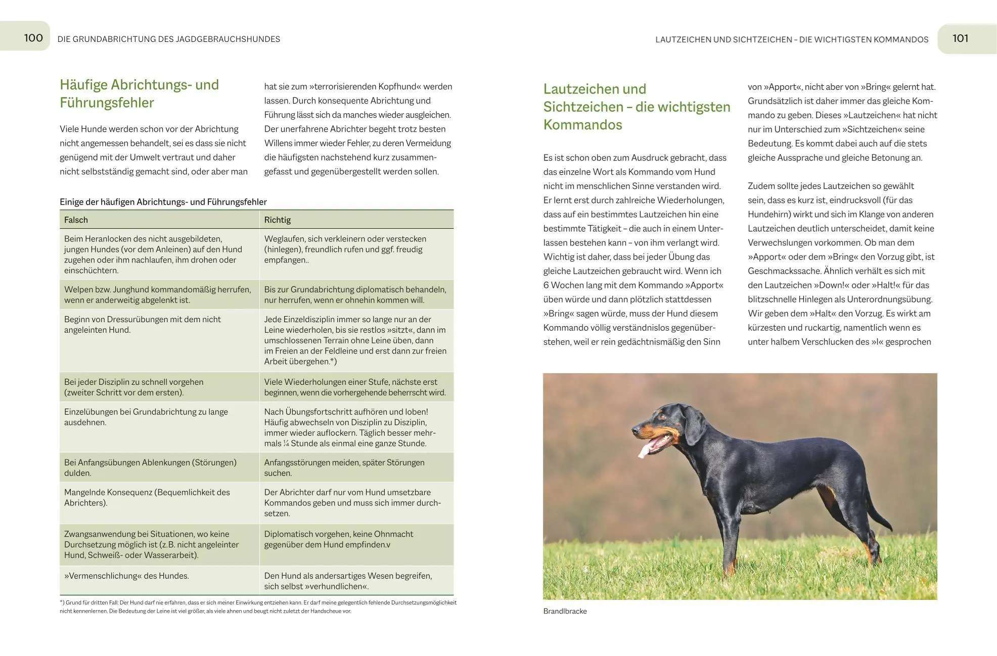 Bild: 9783967470949 | Der Jagdgebrauchshund | Erziehen - Abrichten - Führen | Uwe Tabel