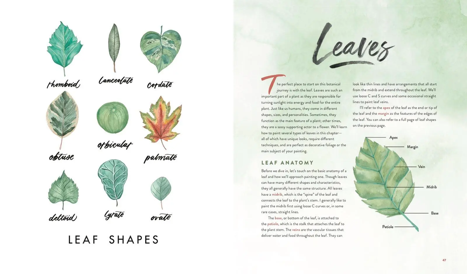 Bild: 9781454711049 | Watercolour Botanicals | Eunice Sun | Taschenbuch | Englisch | 2020