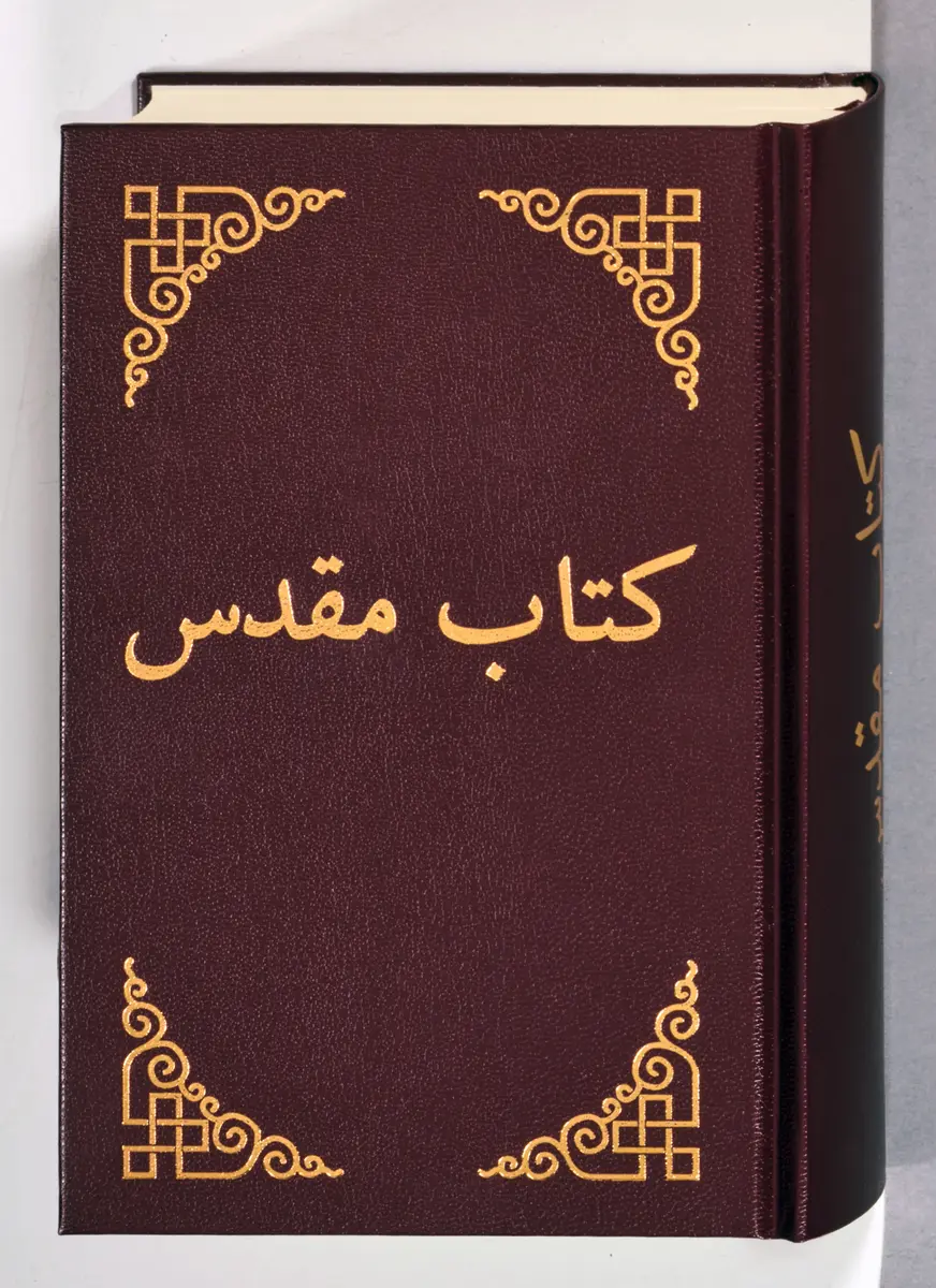 Cover: 9783438081049 | Dari | Bibel - moderne Übersetzung | Buch | 1720 S. | Persisch | 2014