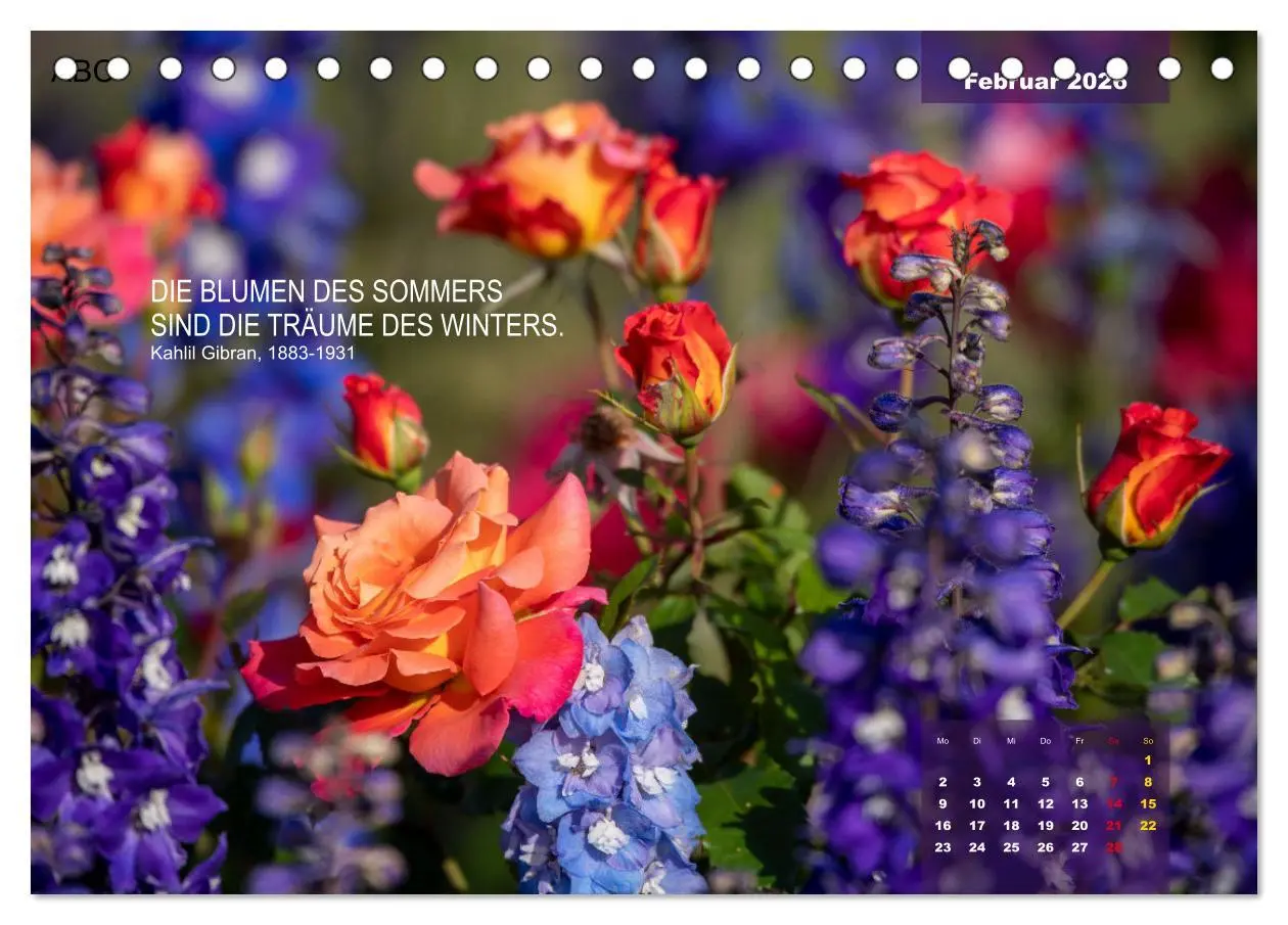 Bild: 9783457581049 | Rose Königin des Gartens (Tischkalender 2026 DIN A5 quer), CALVENDO...