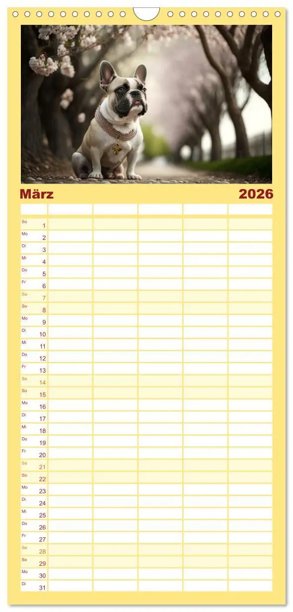 Bild: 9783516501049 | Familienplaner 2026 - Französische Bulldoggen mit 5 Spalten...