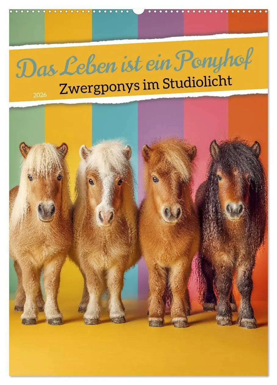 Cover: 9783516671049 | Das Leben ist ein Ponyhof - Zwergponys im Studiolicht (Wandkalender...