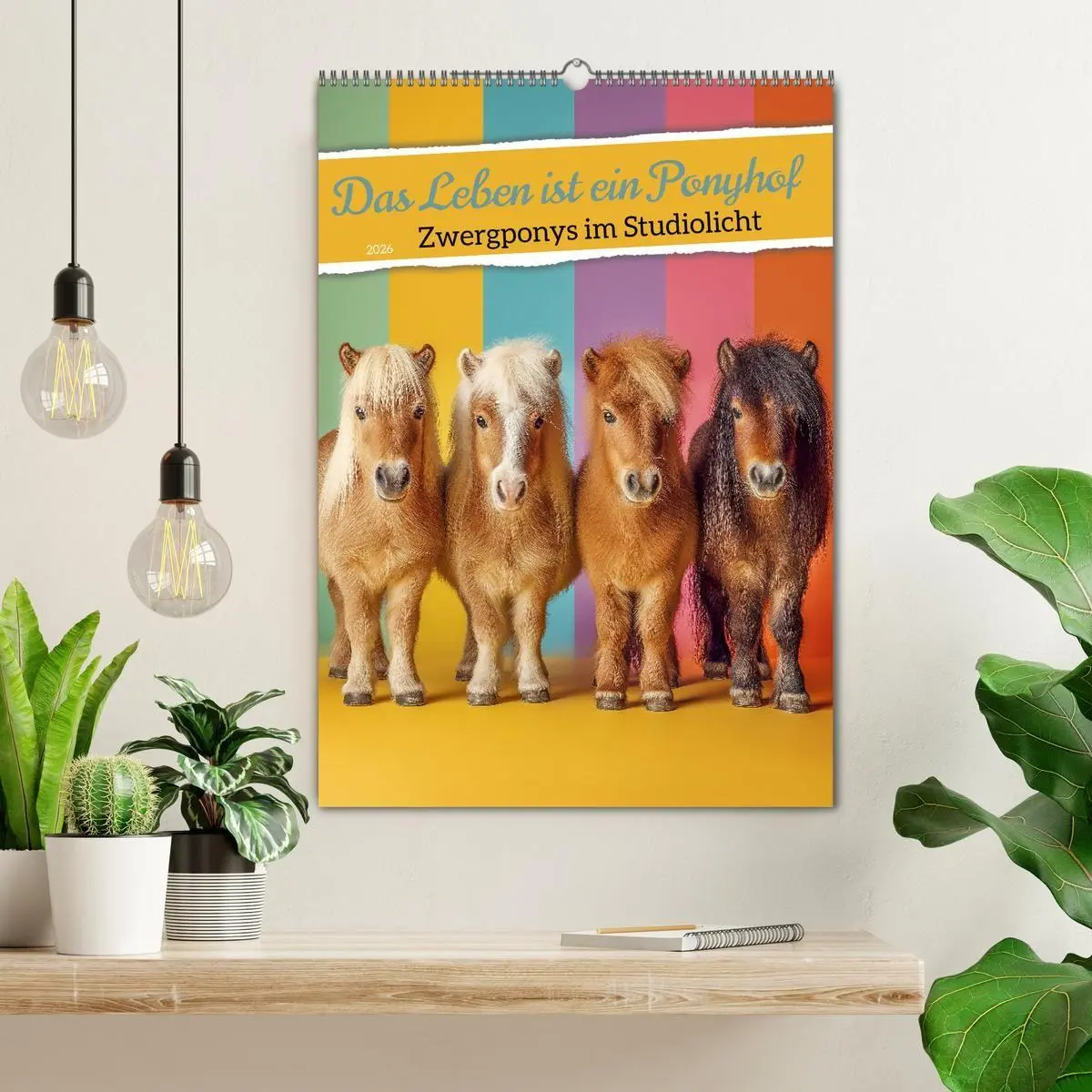 Bild: 9783516671049 | Das Leben ist ein Ponyhof - Zwergponys im Studiolicht (Wandkalender...