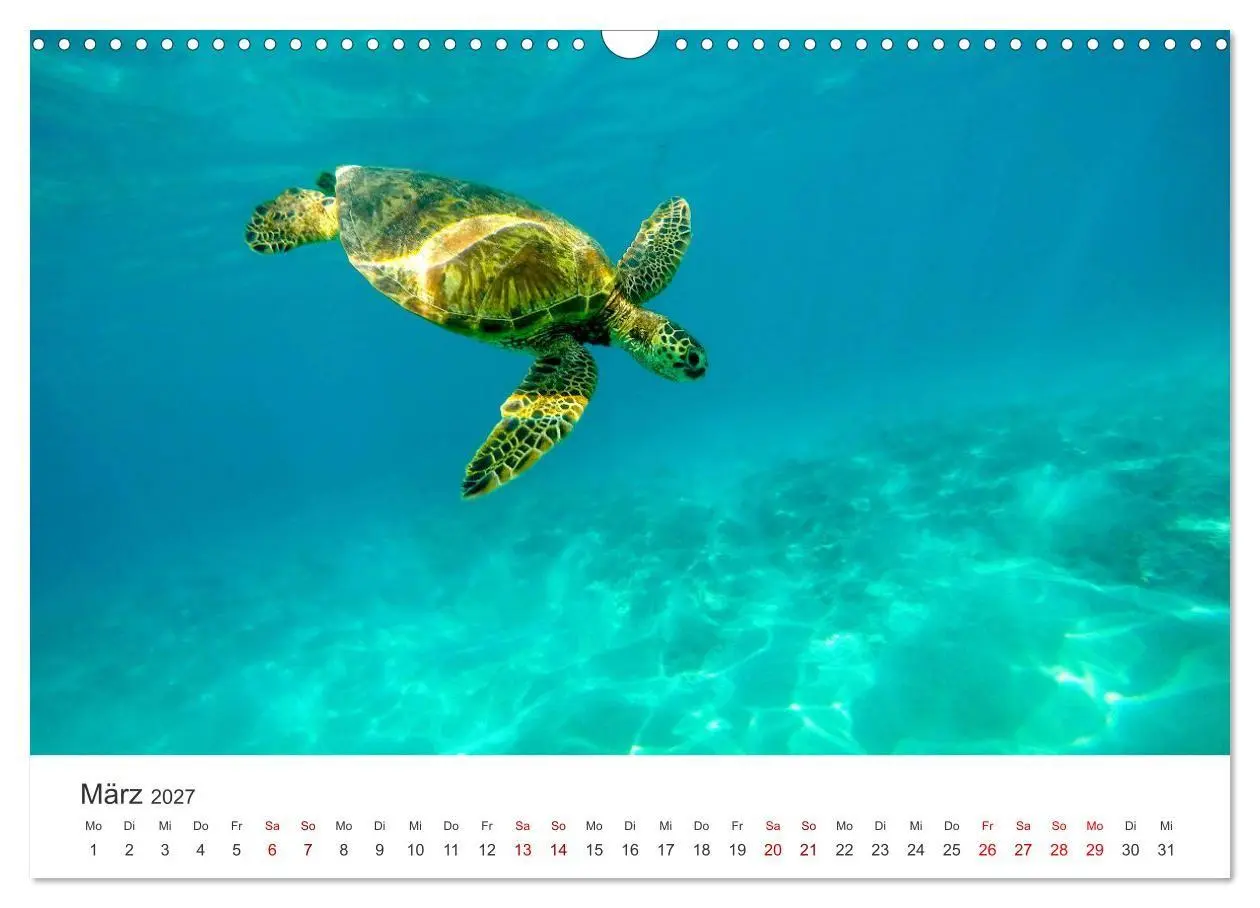 Bild: 9783569381049 | Hawaii - Ein tropisches Paradies. (Wandkalender 2027 DIN A3 quer),...