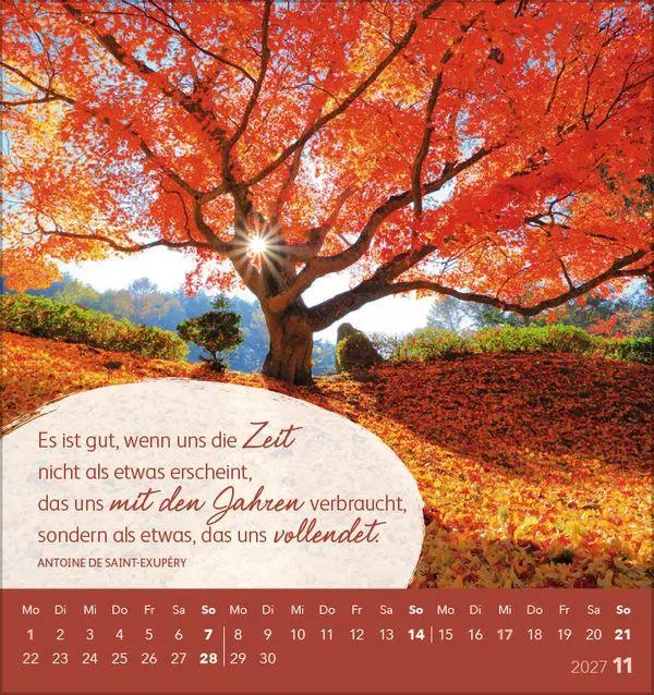 Bild: 9783819301049 | Schön, dass es dich gibt! 2027 | aufstellbarer Postkartenkalender
