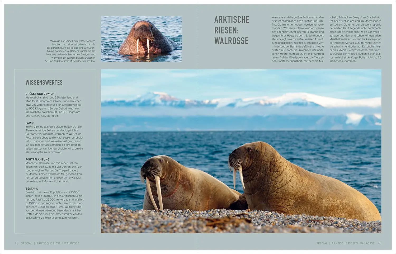 Bild: 9783969651049 | KUNTH Bildband Gigantisch | Wo Meer und Berge sich berühren | Verlag