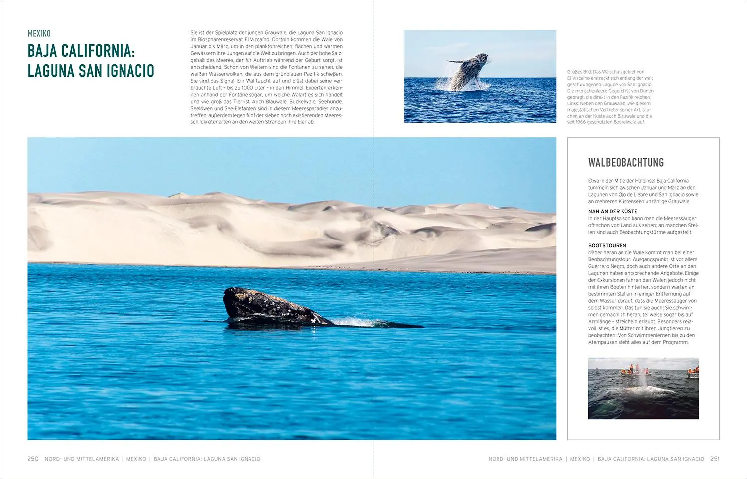 Bild: 9783969651049 | KUNTH Bildband Gigantisch | Wo Meer und Berge sich berühren | Verlag