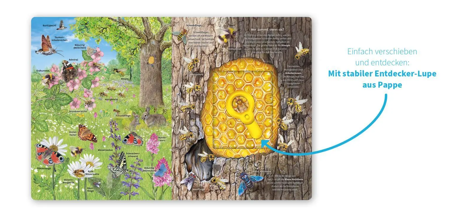 Bild: 9783480241149 | Mein Lupen-Wimmelbuch | Annalisa und Marina Durante | Buch | 14 S.