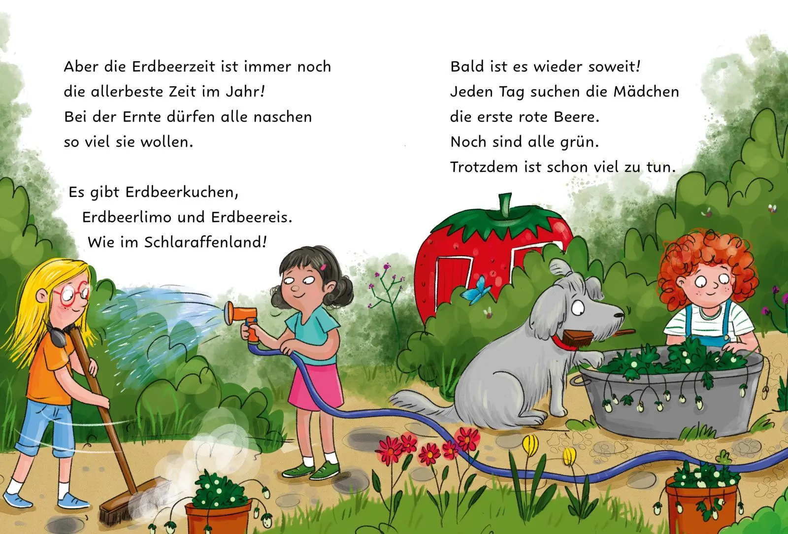 Bild: 9783551691149 | Die Erdbeermädchen | Judith Allert | Buch | 64 S. | Deutsch | 2025
