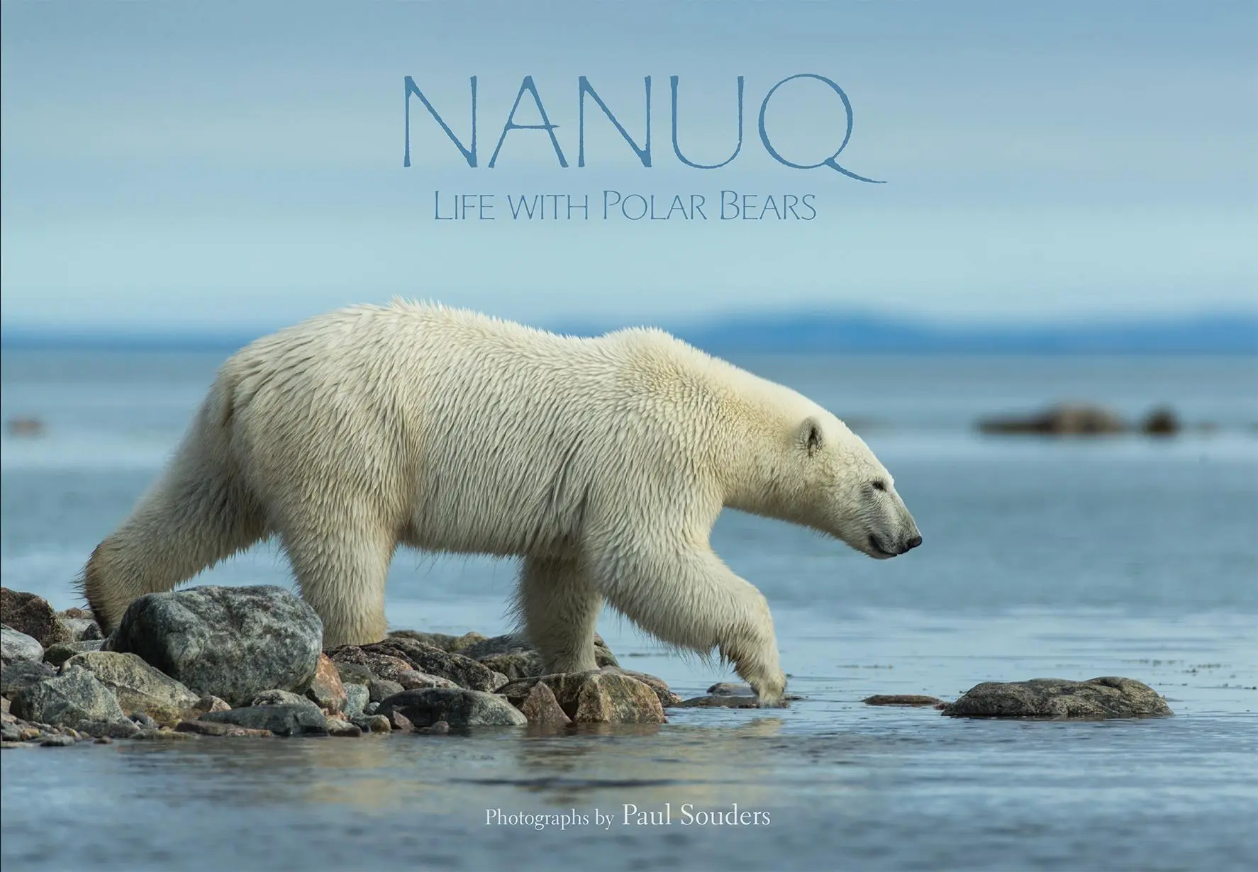 Cover: 9781772271249 | Nanuq: Life with Polar Bears | Paul Souders | Buch | Gebunden | 2016 Cover: 9781772271249 | Nanuq: Life with Polar Bears | Paul Souders | Buch | Gebunden | 2016