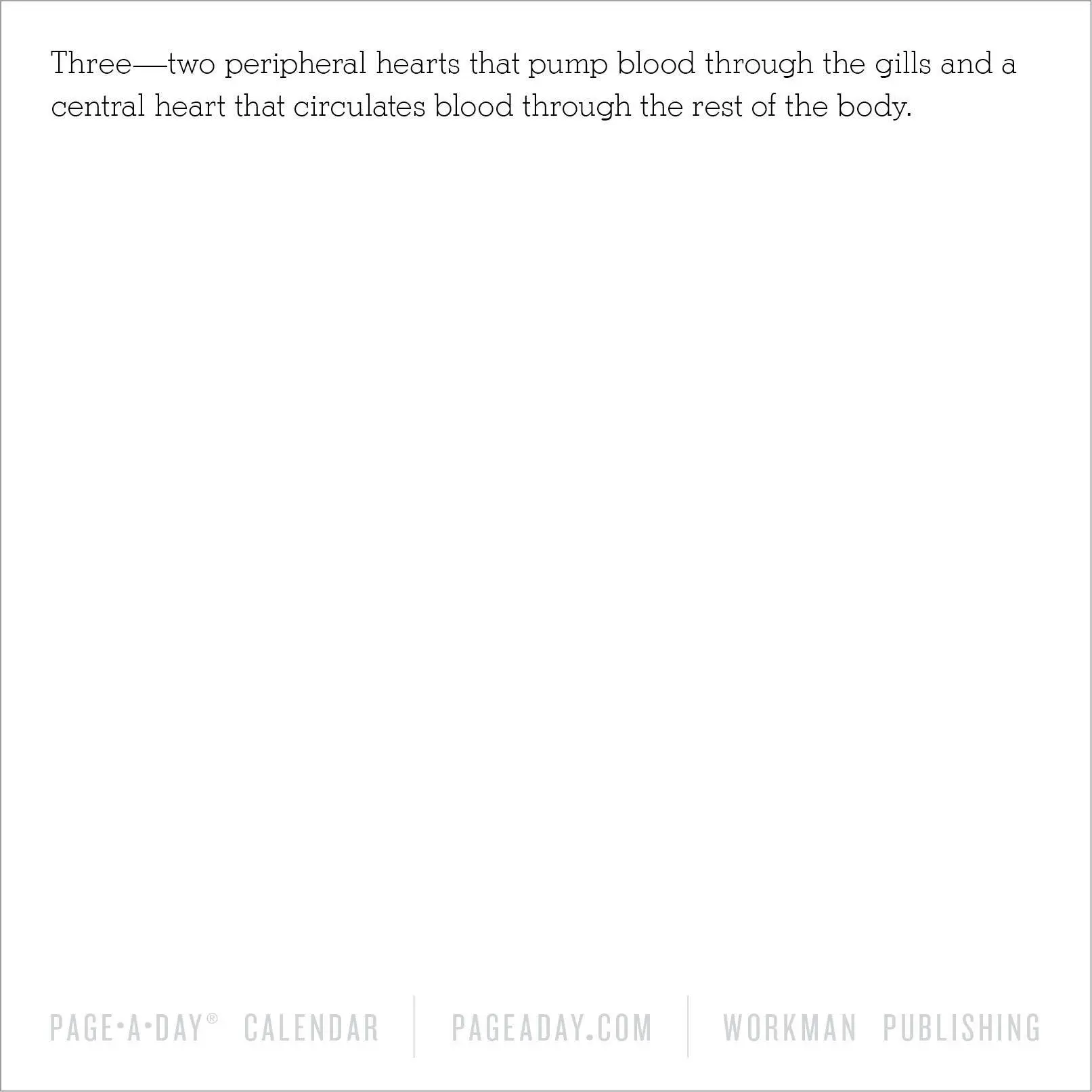 Bild: 9781523531349 | 365 Days of Amazing Trivia Page-A-Day(r) Calendar 2026 | Calendars