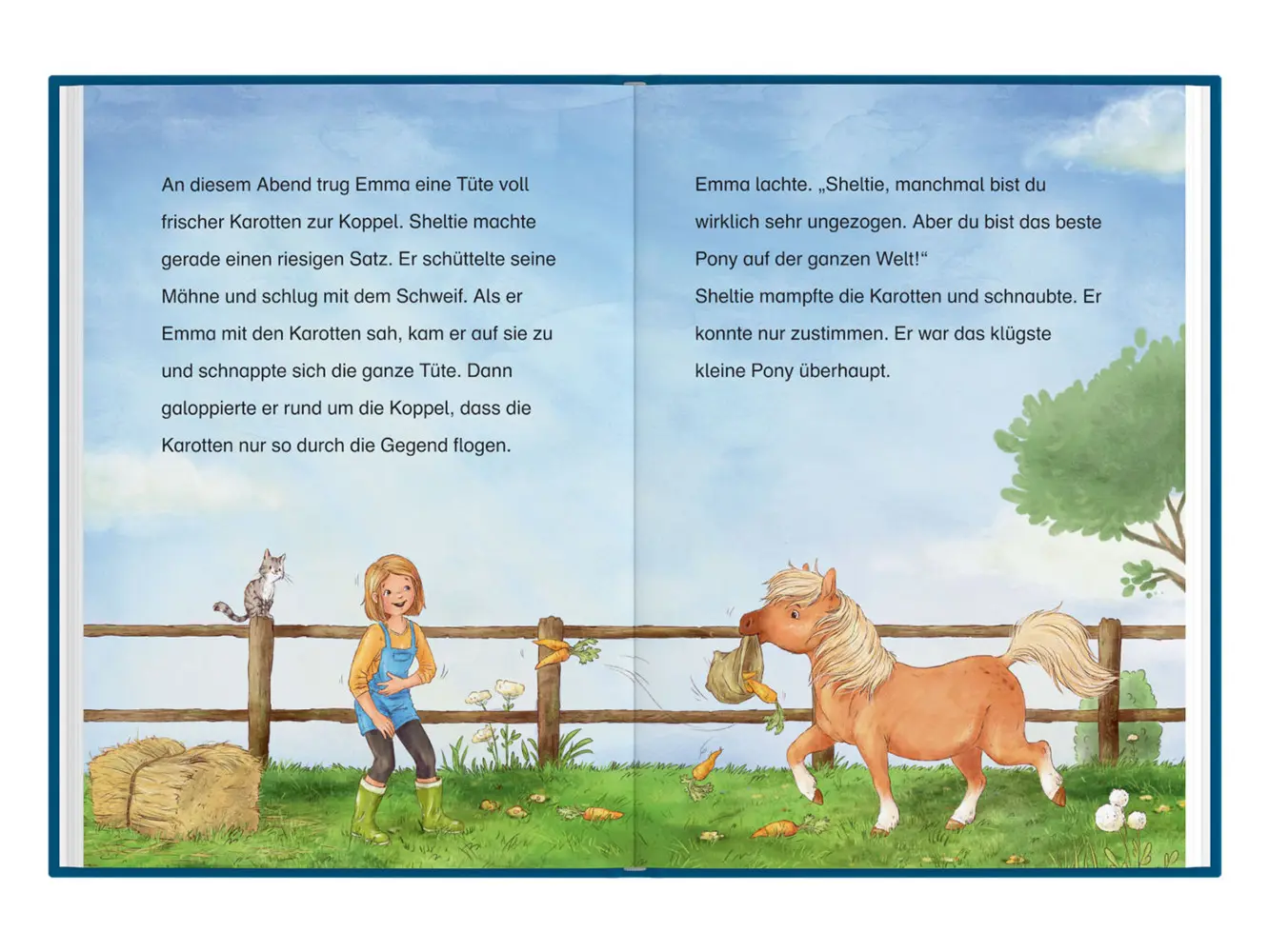 Bild: 9783440171349 | Sheltie - Wie Sheltie auf Schatzsuche ging | Peter Clover | Buch