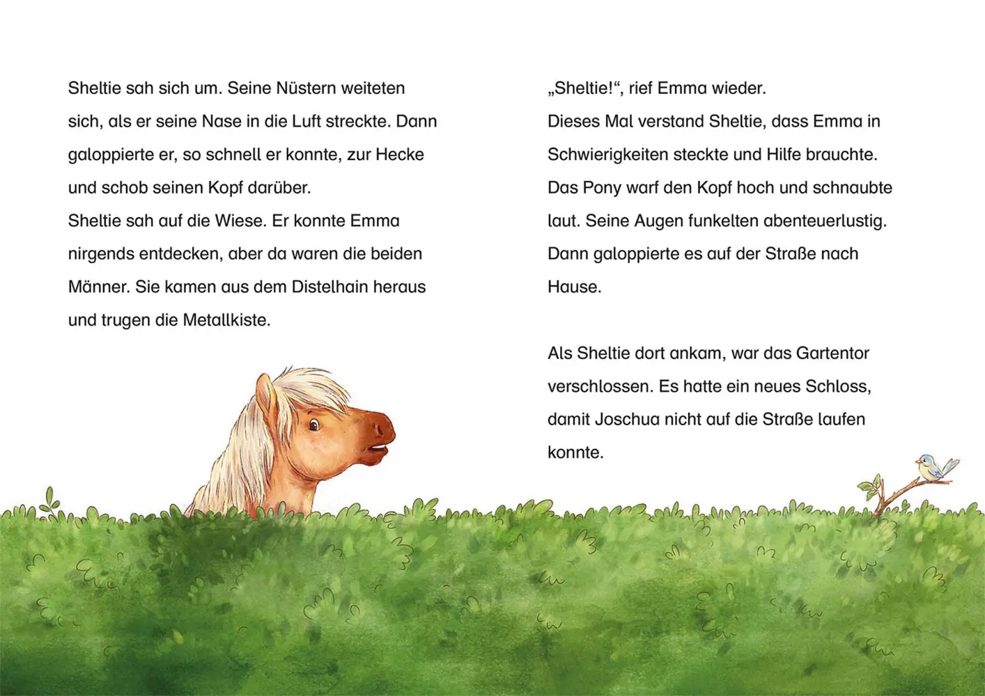 Bild: 9783440171349 | Sheltie - Wie Sheltie auf Schatzsuche ging | Peter Clover | Buch