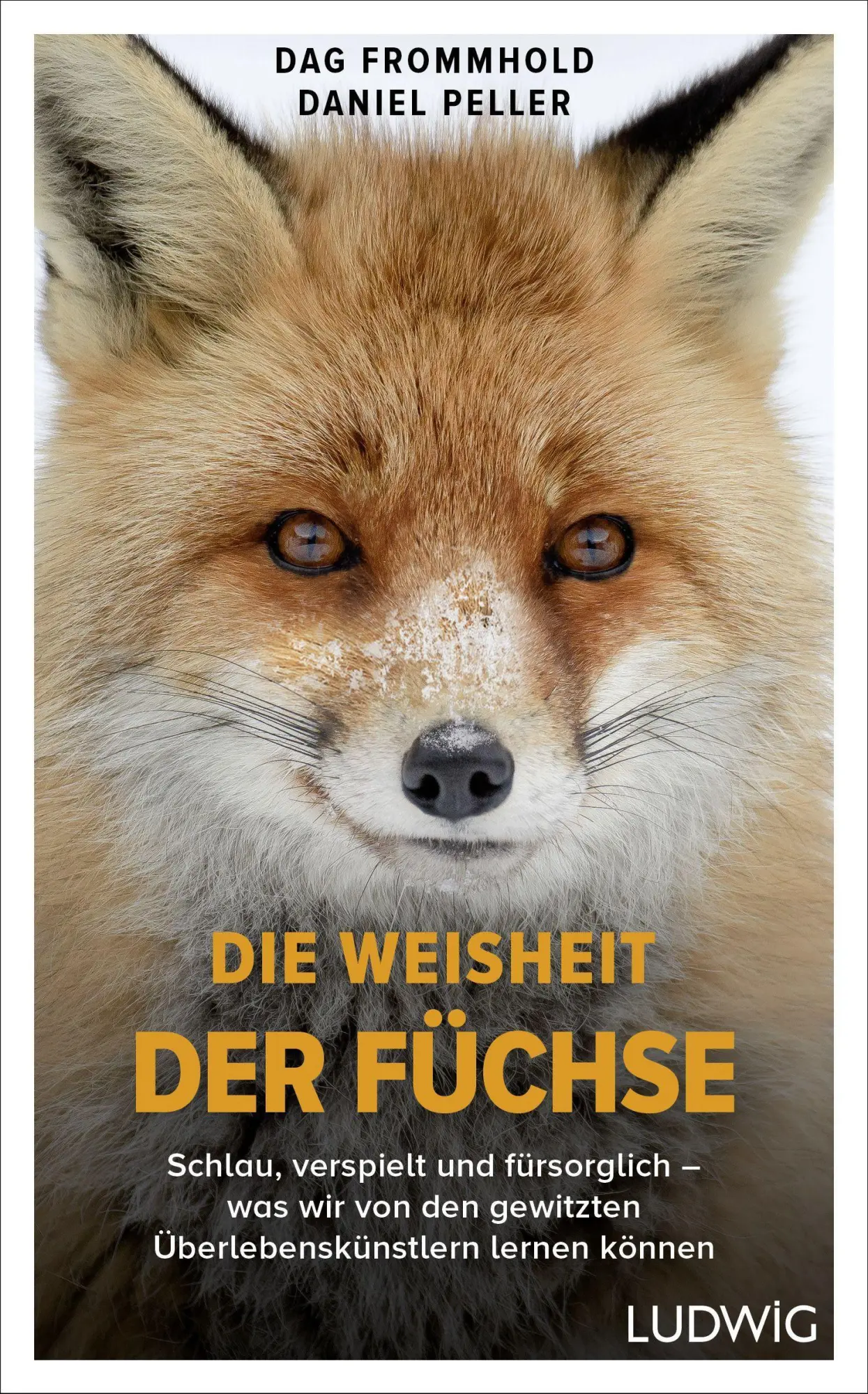 Cover: 9783453281349 | Die Weisheit der Füchse | Dag Frommhold (u. a.) | Buch | 400 S. | 2022