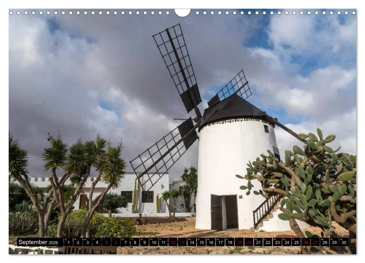 Bild: 9783457861349 | Fuerteventura (Wandkalender 2026 DIN A3 quer), CALVENDO Monatskalender