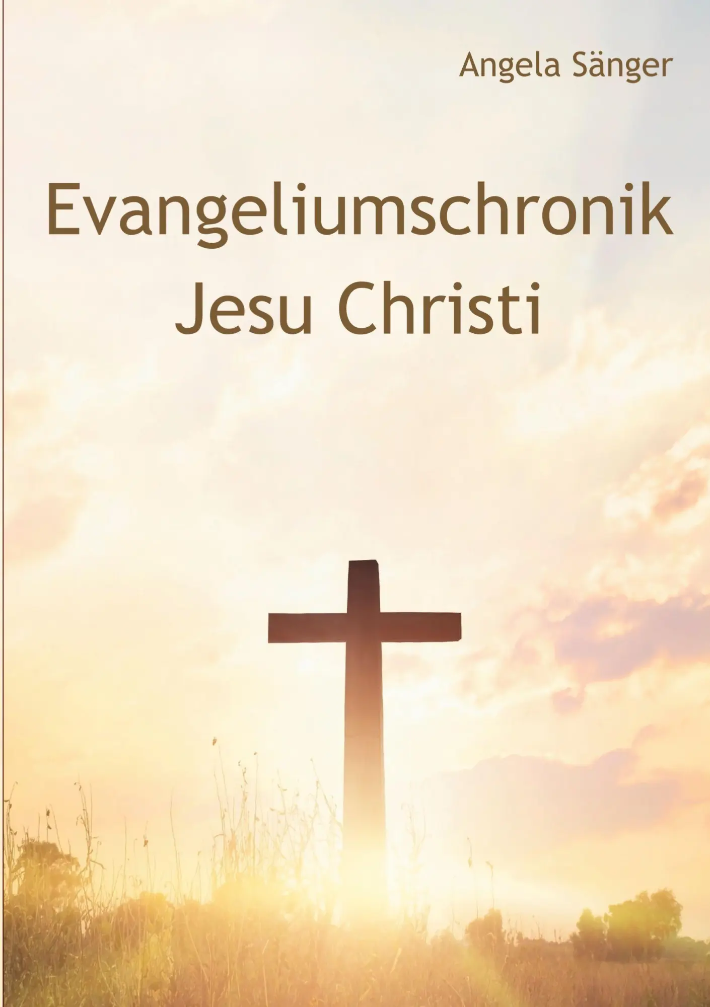 Cover: 9783819201349 | Evangeliumschronik Jesu Christi | Angela Sänger | Taschenbuch | 282 S.