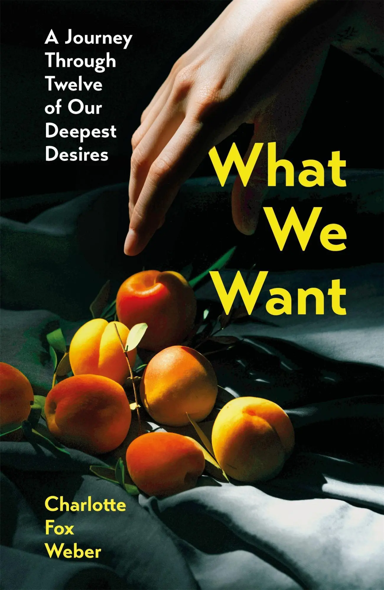 Cover: 9781472281449 | What We Want | A Journey Through Twelve of Our Deepest Desires | Weber