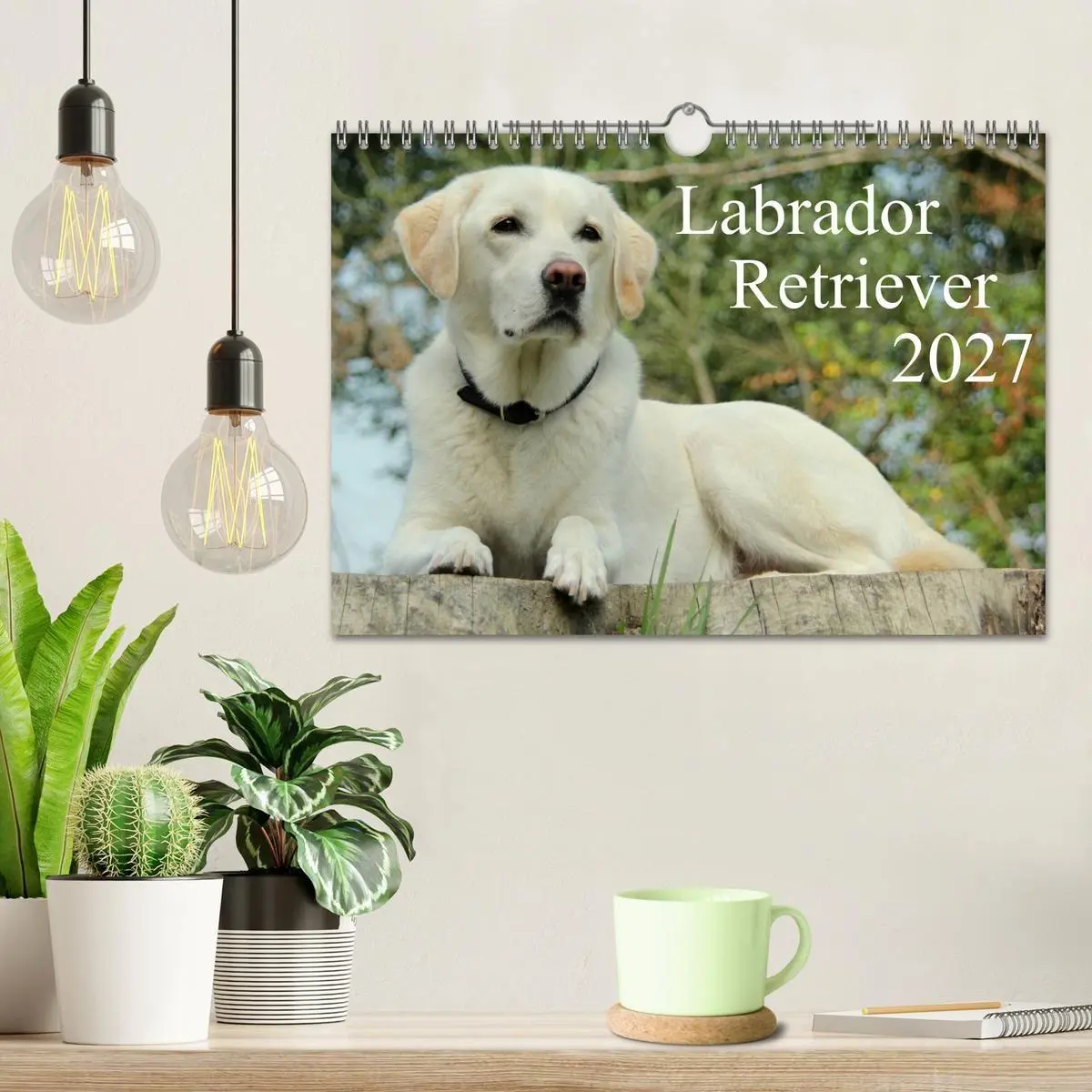 Bild: 9783594161449 | Labrador Retriever 2027 (Wandkalender 2027 DIN A4 quer), CALVENDO...