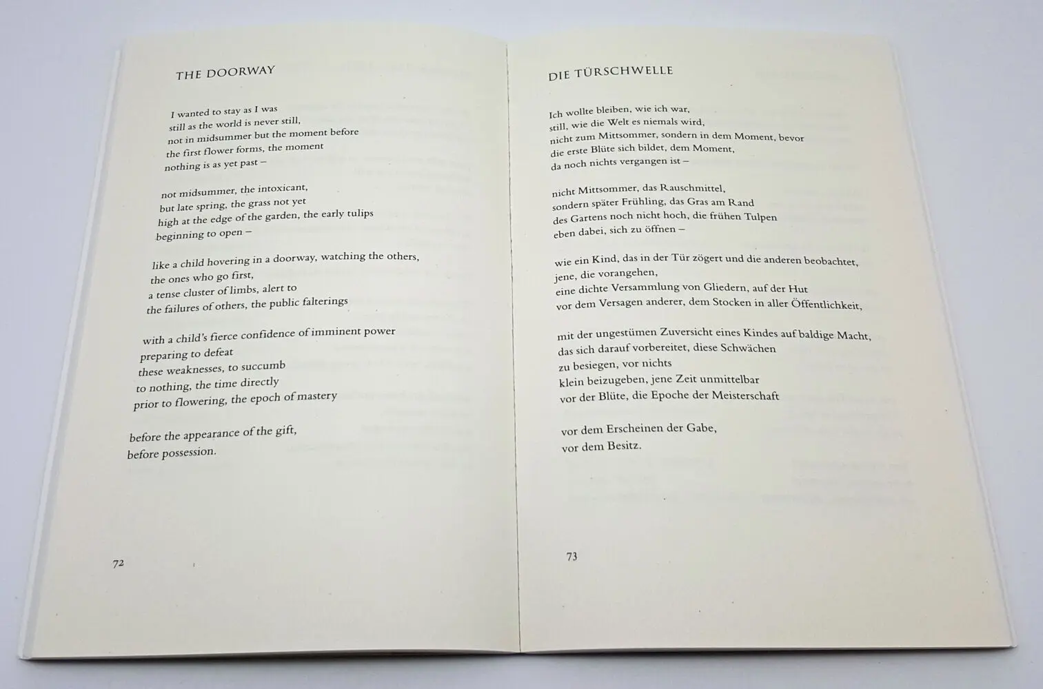 Bild: 9783630621449 | Wilde Iris | Louise Glück | Taschenbuch | Sammlung Luchterhand | 2020