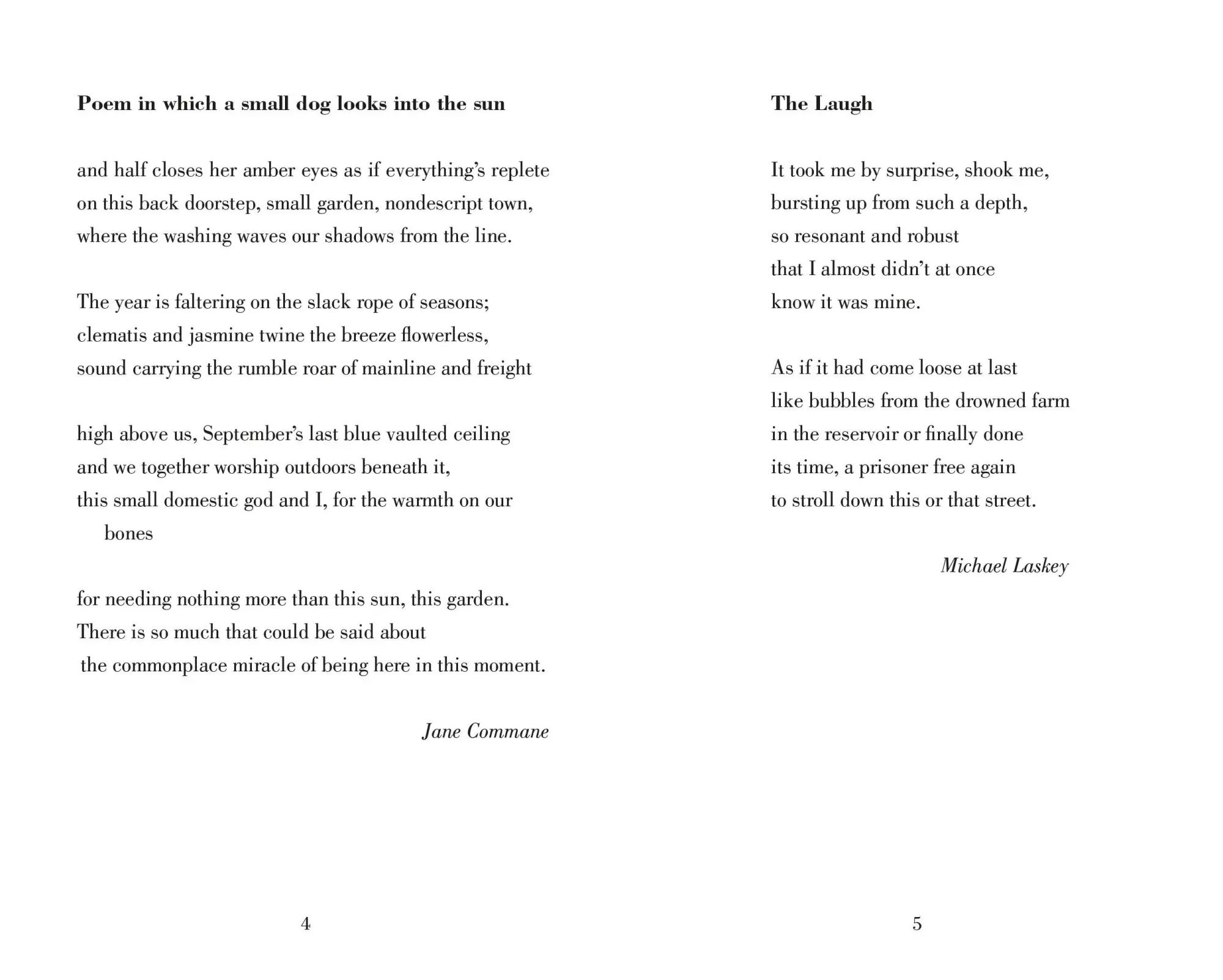 Bild: 9781035061549 | Poetry Prescription: Joy | Deborah Alma | Buch | VIII | Englisch