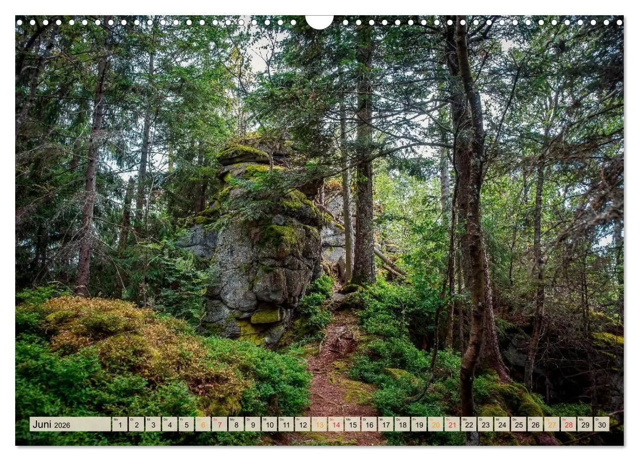 Bild: 9783457841549 | Deutschland - Nationalparks (Wandkalender 2026 DIN A3 quer),...