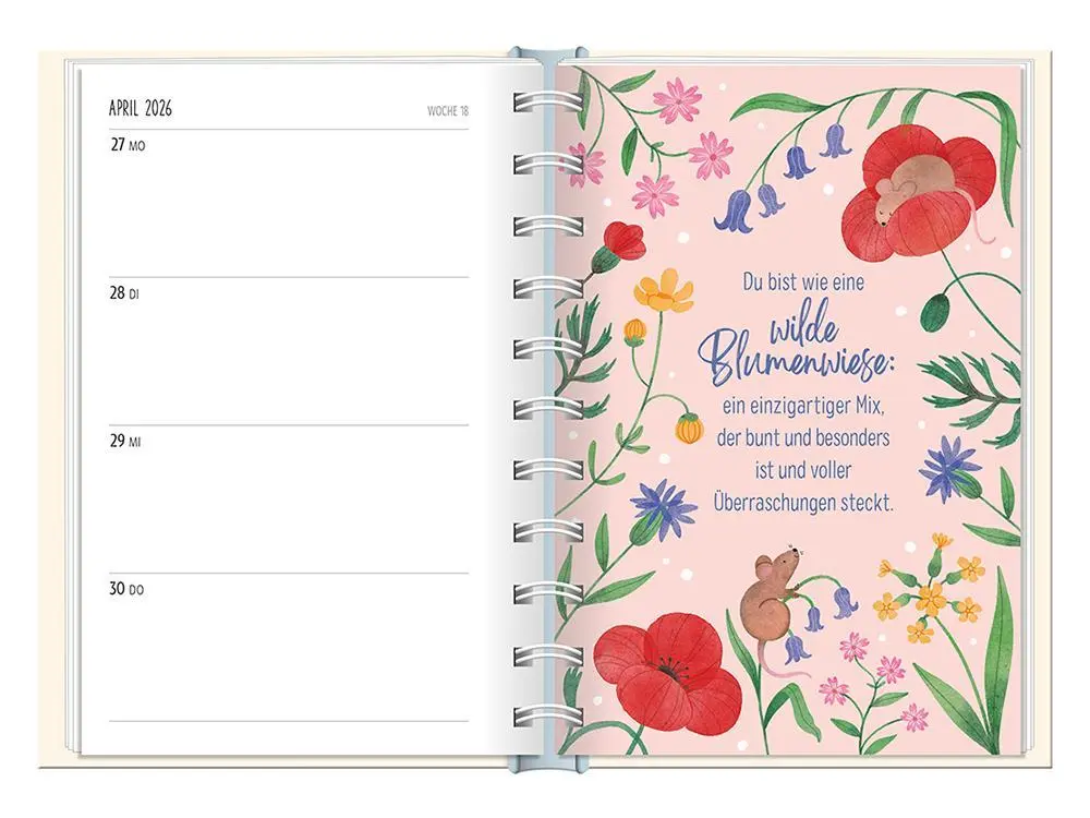 Bild: 9783986361549 | Terminplaner 2026 Hallo Glück | Terminplaner Hardcover | Original