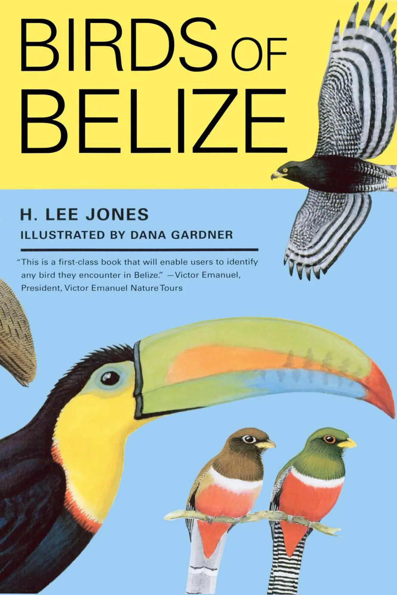 Cover: 9780292701649 | Birds of Belize | H. Lee Jones | Taschenbuch | Englisch | 2004
