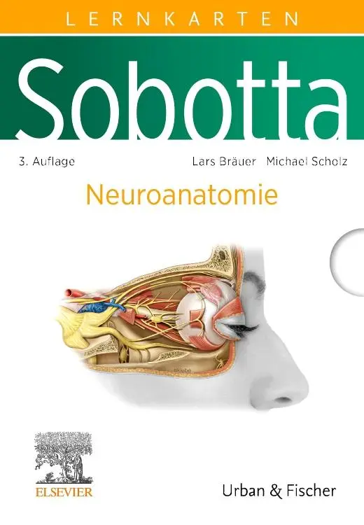 Cover: 9783437411649 | Sobotta Lernkarten Neuroanatomie | Lars Bräuer (u. a.) | Box | Sobotta