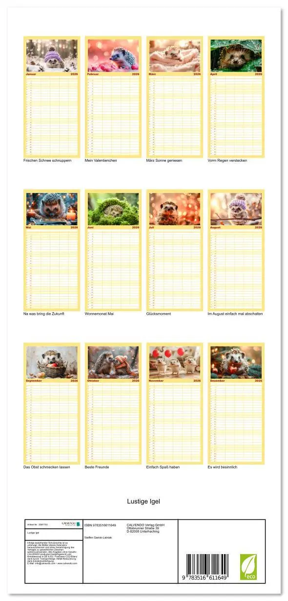 Bild: 9783516611649 | Familienplaner 2026 - Lustige Igel mit 5 Spalten (Wandkalender, 21...