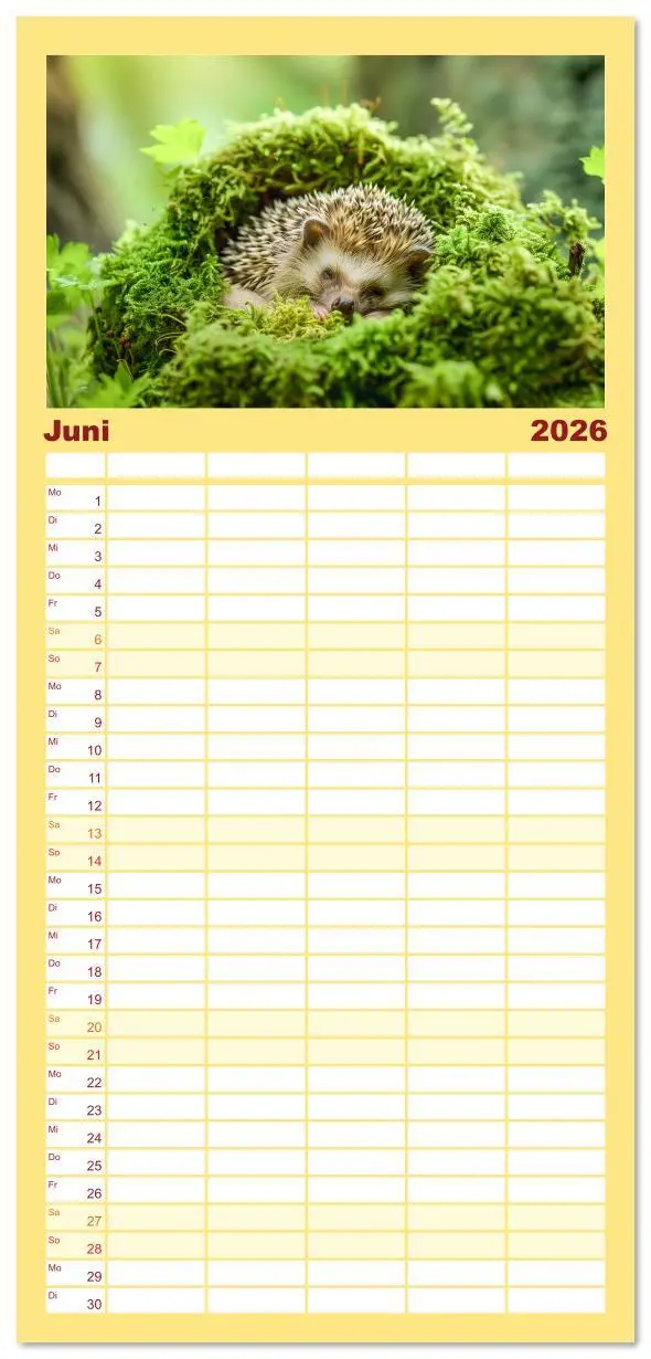 Bild: 9783516611649 | Familienplaner 2026 - Lustige Igel mit 5 Spalten (Wandkalender, 21...