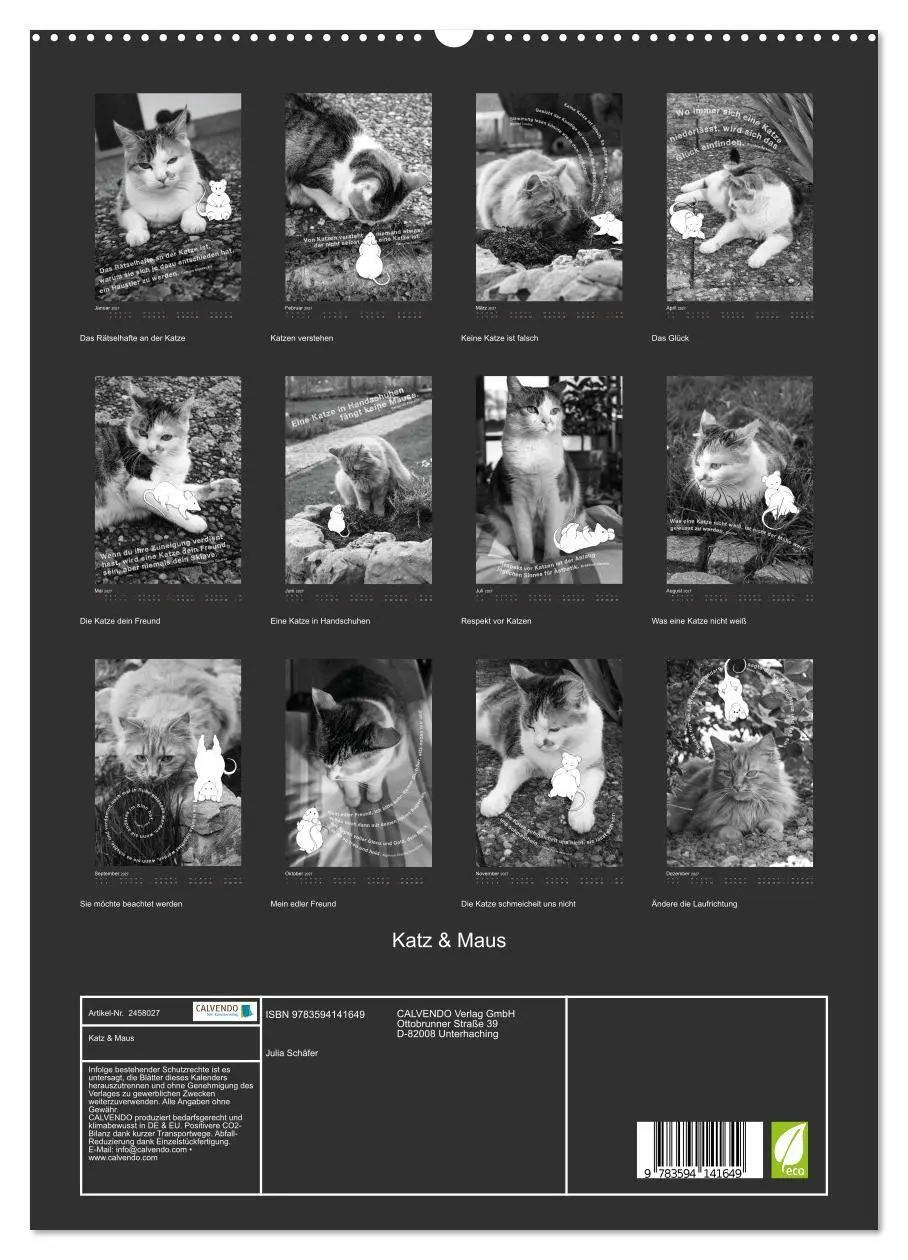 Bild: 9783594141649 | Katz &amp; Maus (hochwertiger Premium Wandkalender 2027 DIN A2 hoch),...