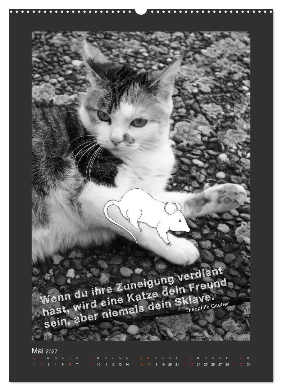 Bild: 9783594141649 | Katz &amp; Maus (hochwertiger Premium Wandkalender 2027 DIN A2 hoch),...