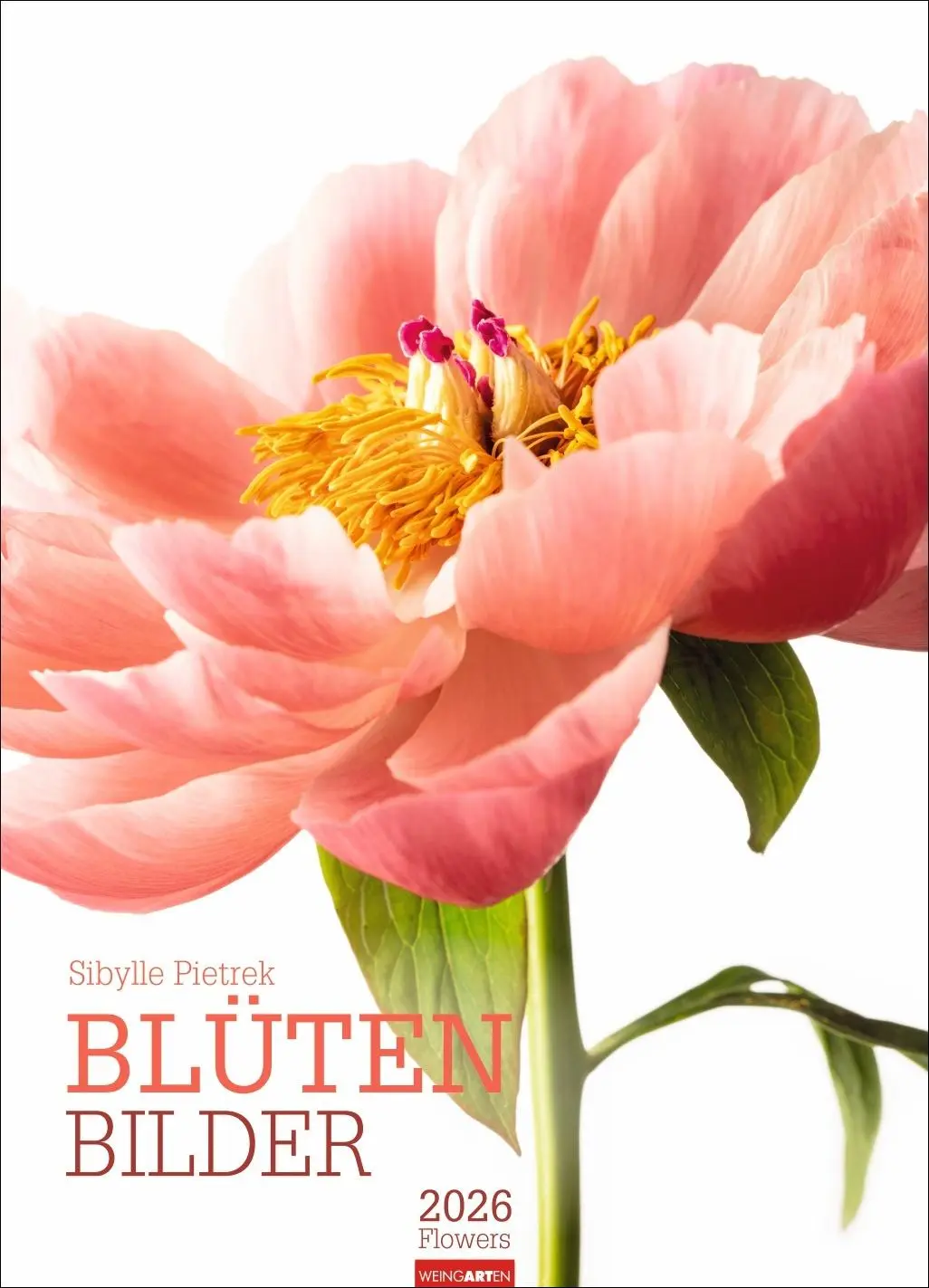 Cover: 9783839901649 | Blütenbilder Kalender 2026 | Sibylle Pietrek | Kalender | 14 S. | 2026