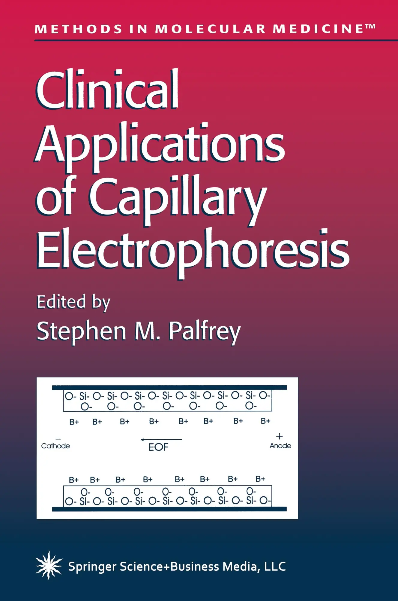 Cover: 9781489941749 | Clinical Applications of Capillary Electrophoresis | Palfrey | Buch