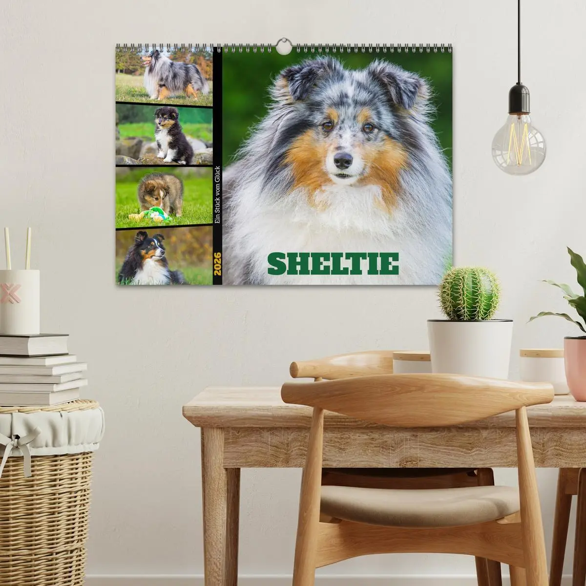 Bild: 9783457371749 | Sheltie - Ein Stück vom Glück (Wandkalender 2026 DIN A3 quer),...