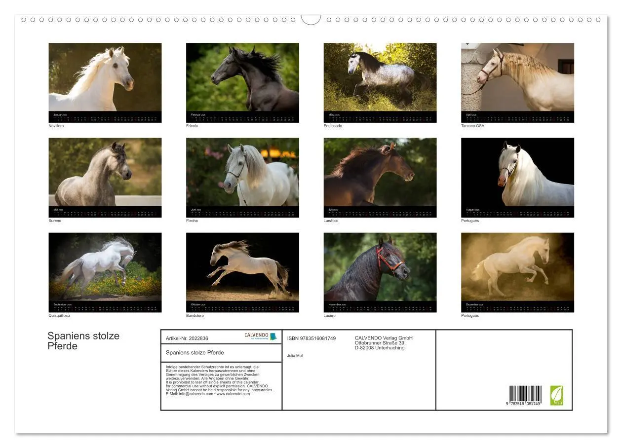 Bild: 9783516081749 | Spaniens stolze Pferde (Wandkalender 2026 DIN A2 quer), CALVENDO...