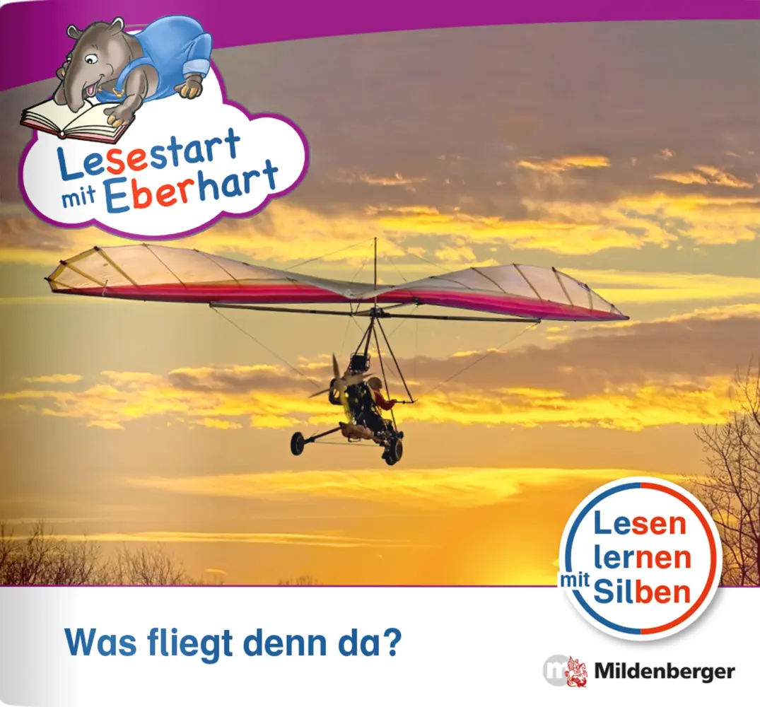 Cover: 9783619041749 | Lesestart mit Eberhart: Was fliegt denn da? | Nicole Brandau (u. a.)