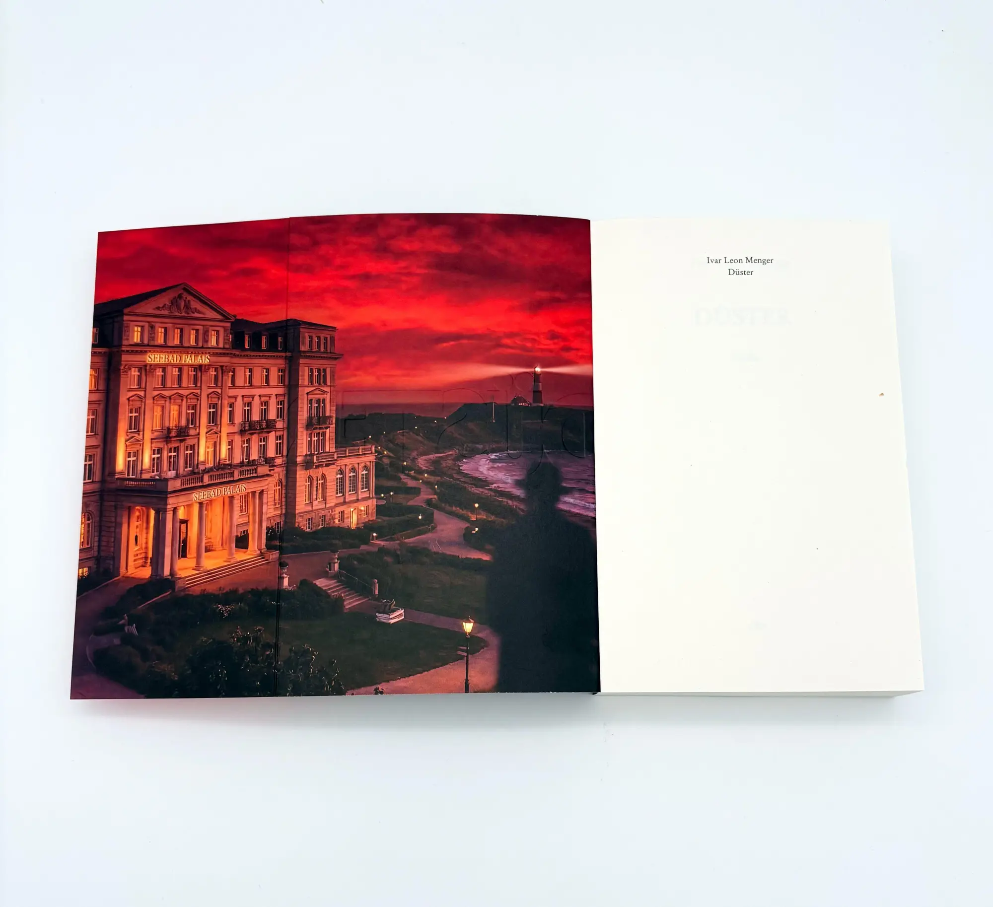 Bild: 9783423221849 | Düster | Ivar Leon Menger | Taschenbuch | 432 S. | Deutsch | 2026