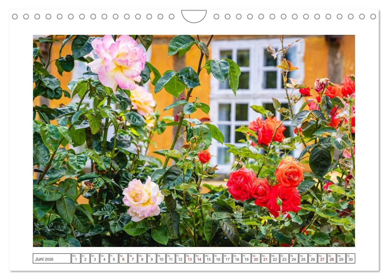 Bild: 9783457361849 | Lolland - Harmonie von Mensch und Natur (Wandkalender 2026 DIN A4...